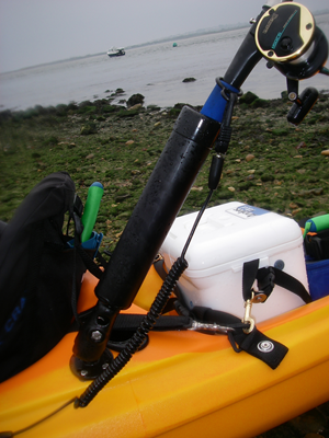 IMGP0717.JPG IMGP0717.JPG