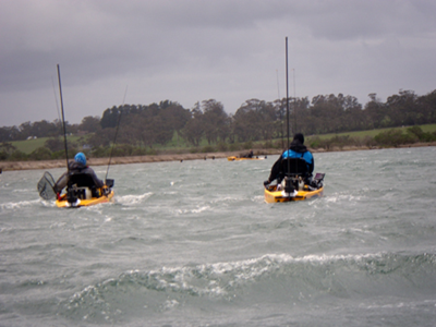 Marlo-High-Winds.jpg Marlo-High-Winds.jpg